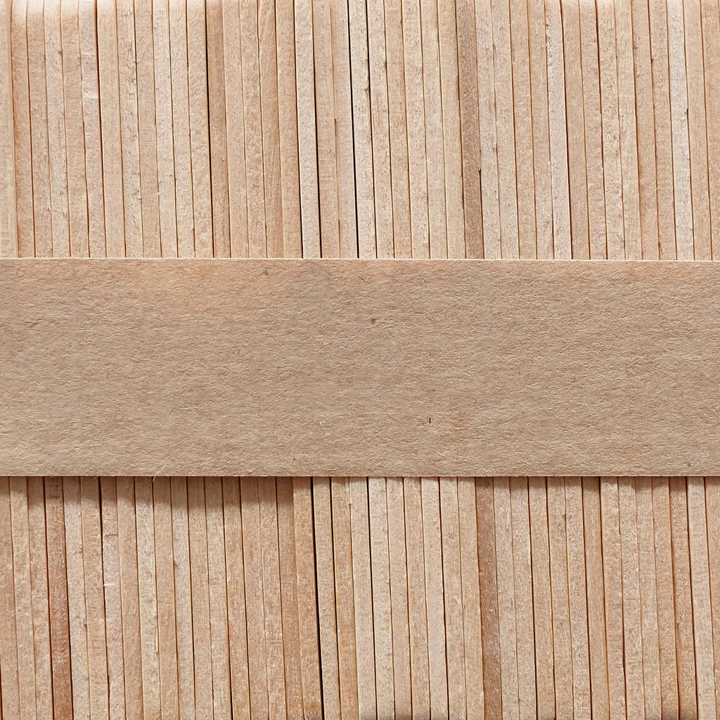 10 x Ice Cream Sticks ($1.95 each)